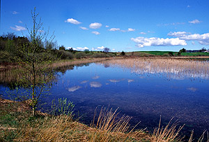 Navn S&oslash;  Foto: Albert Steen-Hansen